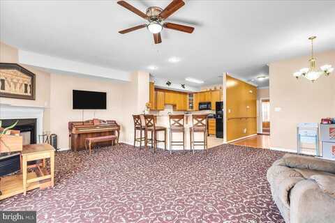235 CAMERTON LANE, TOWNSEND, DE 19734
