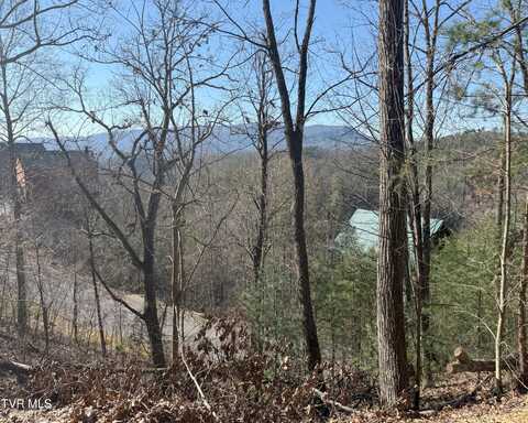 Lot 155r Black Bear Cub Way, Pigeon Forge, TN 37863