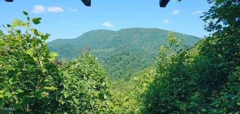 174 Doty Road, Roan Mountain, TN 37687