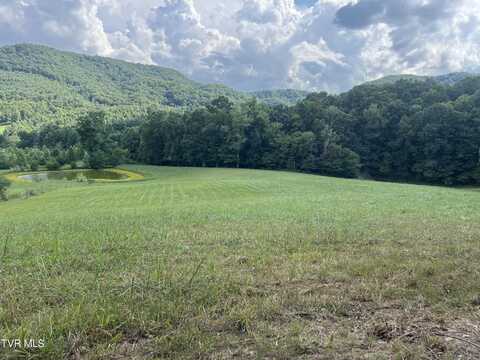 11/Ac Tbd Houston Valley Road, Greeneville, TN 37743
