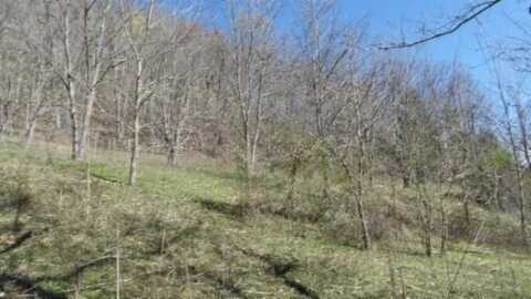 35.68ac Sugar Creek Rd, GAINESBORO, TN 38562
