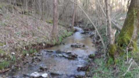 35.68ac Sugar Creek Rd, GAINESBORO, TN 38562
