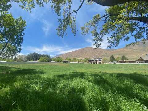 2678 CANYON S, Springville, UT 84663