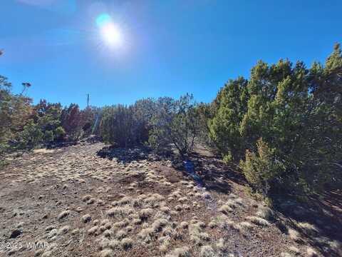 Tbd N3119 Street, Vernon, AZ 85940