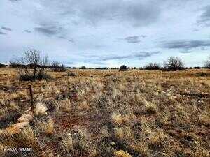Lot 211 Dry Pasture Road, Heber, AZ 85928