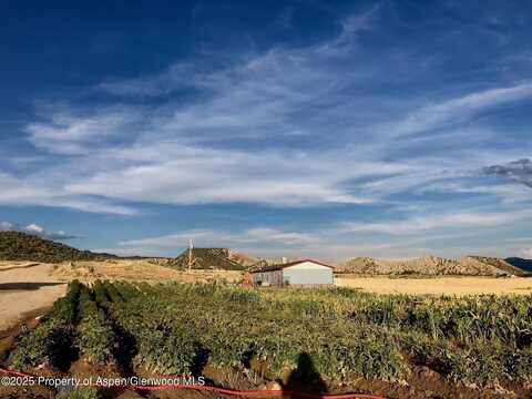 1175 Jewell Lane, Rifle, CO 81650