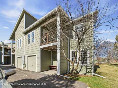 1127 Cara Ct, Carbondale, CO 81623