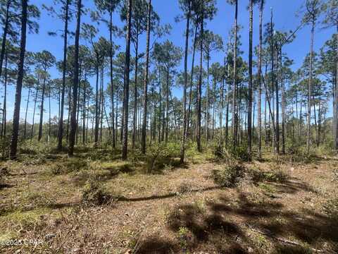 0 Wildrose Lane, Chipley, FL 32428