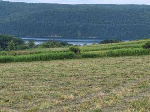 0 County Highway 28, Otsego, NY 13326