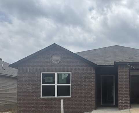 1241 Crotale Street, Conway, AR 72034