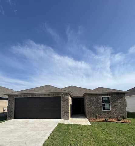 1249 Crotale Street, Conway, AR 72034