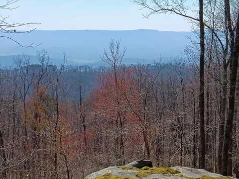 0008 Harlee Vista, Pikeville, TN 37367
