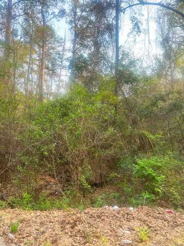 4TH STREET, PHENIX CITY, AL 36869