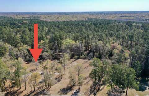 TBD Nichols St., Nichols, SC 29581