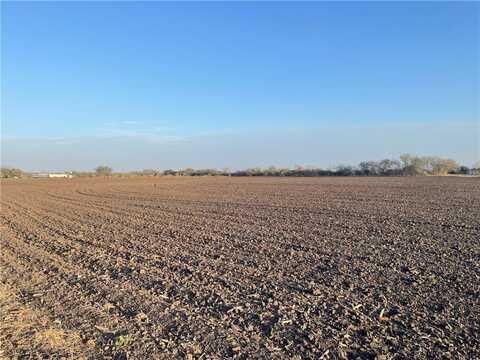 Lot 1 County Road 732, Sinton, TX 78387