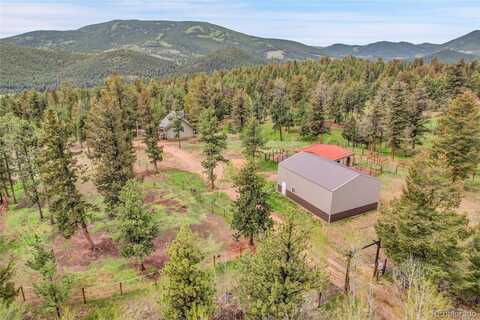 64 Elk Horn Court, Bailey, CO 80421