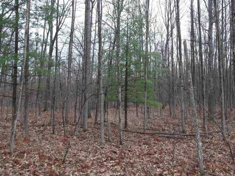 00 Boutilier, Lake, MI 48632