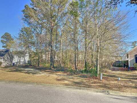 314 Downs Drive, Columbia, SC 29209