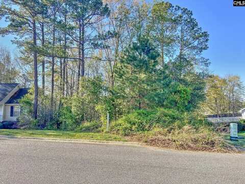 313 Downs Drive, Columbia, SC 29209