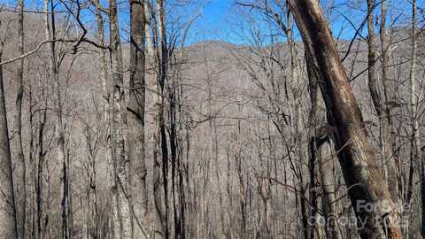 00 Shady Rest Drive, Waynesville, NC 28785