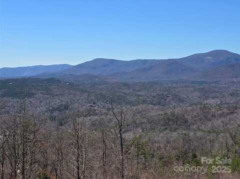 Golden Ridge Drive unit: 209, Lake Lure, NC 28746