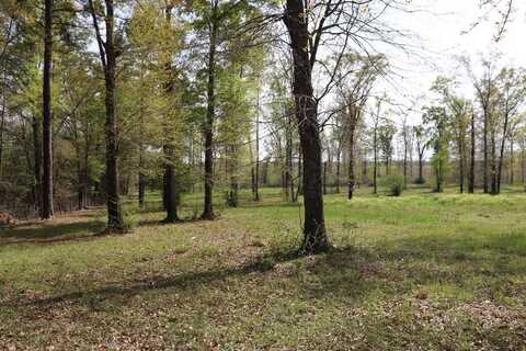 2154 J Saunders Rd, Dothan, AL 36301