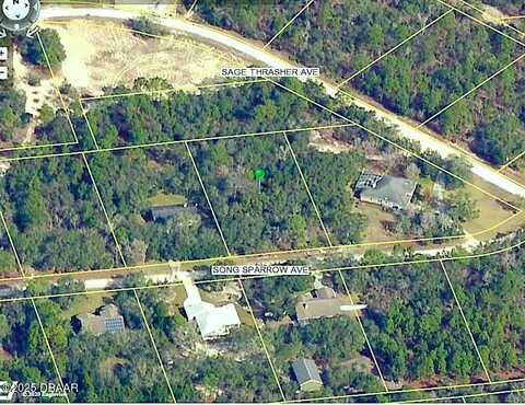 11099 Song Sparrow Avenue, Weeki Wachee, FL 34614