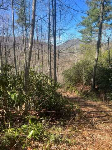 208 Ivy Ridge Circle, Sylva, NC 28779
