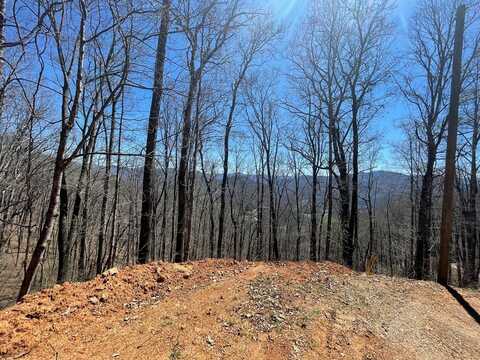 Black Mountain Rd, Cullowhee, NC 28723