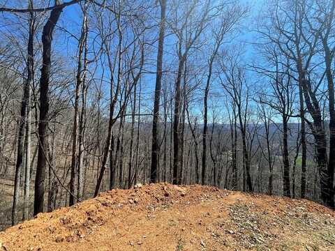 Black Mountain Rd, Cullowhee, NC 28723