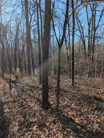 1422 Hanna Drive, Ranger, GA 30734