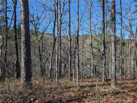 1400 Foxhound Trail NE, Ranger, GA 30734