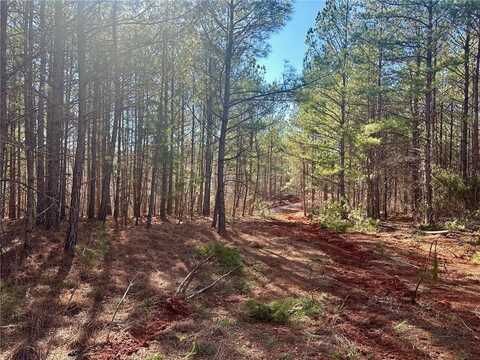 5-/+ Patriot, Dahlonega, GA 30533
