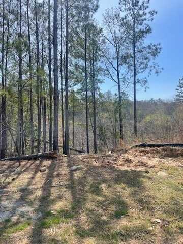 23 Bridgestone Way SE, Cartersville, GA 30120