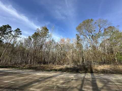Lot 12 ROBIN Boulevard, Swainsboro, GA 30401