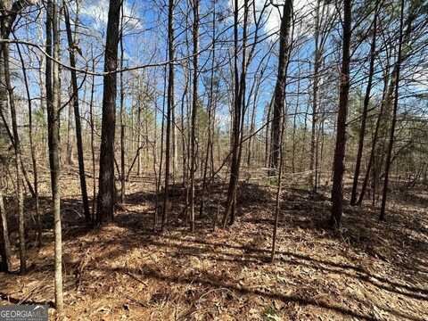0 Rocky Point, Covington, GA 30014