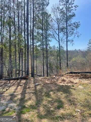 23 Bridgestone, Cartersville, GA 30120