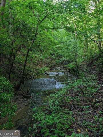 772 Naomi, Ranger, GA 30734