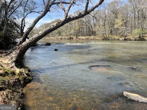 0 HWY 36, Woodland, GA 31836