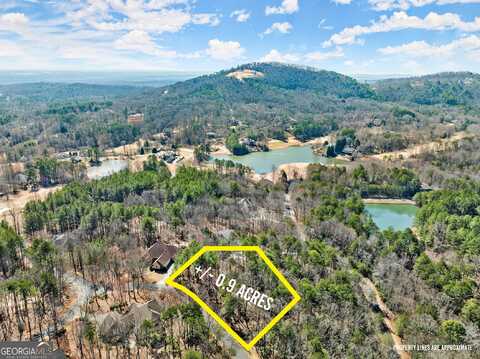 0 Golden Delicious, Clarkesville, GA 30523