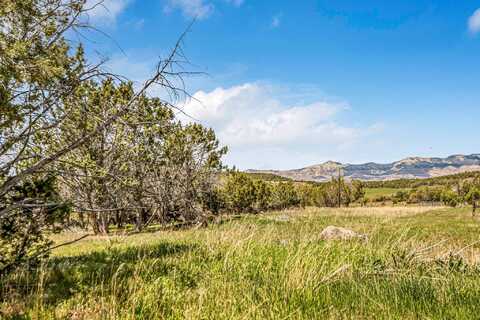 53873 IE 3/4 Road, Mesa, CO 81643