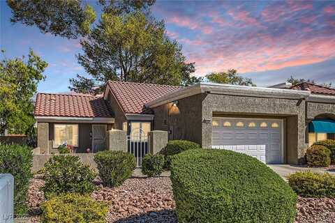 8628 Desert Holly Drive, Las Vegas, NV 89134