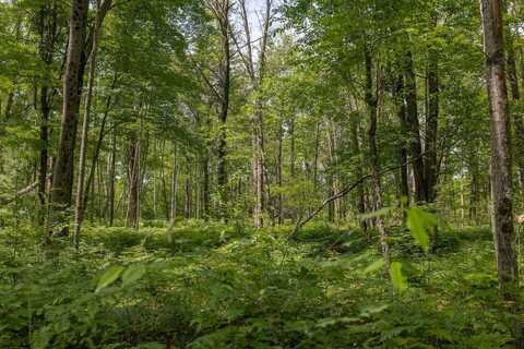 000 V/L 13 Mile Rd., Bitely, MI 49309