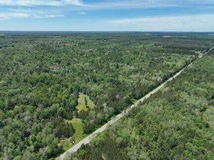 0 V/L W 13 Mile Rd., Bitely, MI 49309