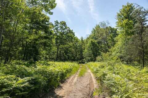 00 V/L Comstock Ave, Bitely, MI 49309