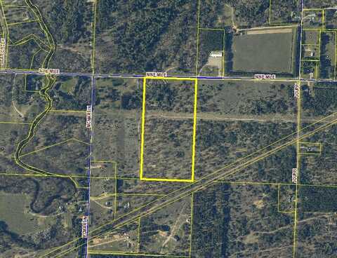 19.5 Acres 9 Mile Road, Kaleva, MI 49645