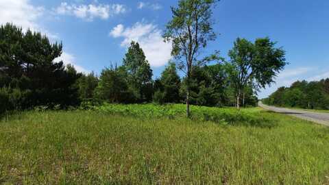 19.5 Acres 9 Mile Road, Kaleva, MI 49645