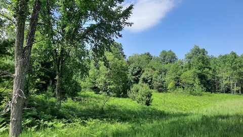19.5 Acres 9 Mile Road, Kaleva, MI 49645