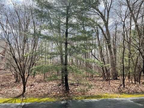 18655 Forest Beach Drive, New Buffalo, MI 49117