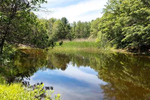 00 V/L 13 Mile Road, Bitely, MI 49309
